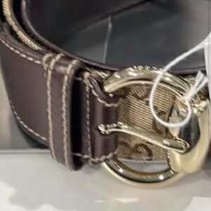 Gucci logo Brown unisex belt